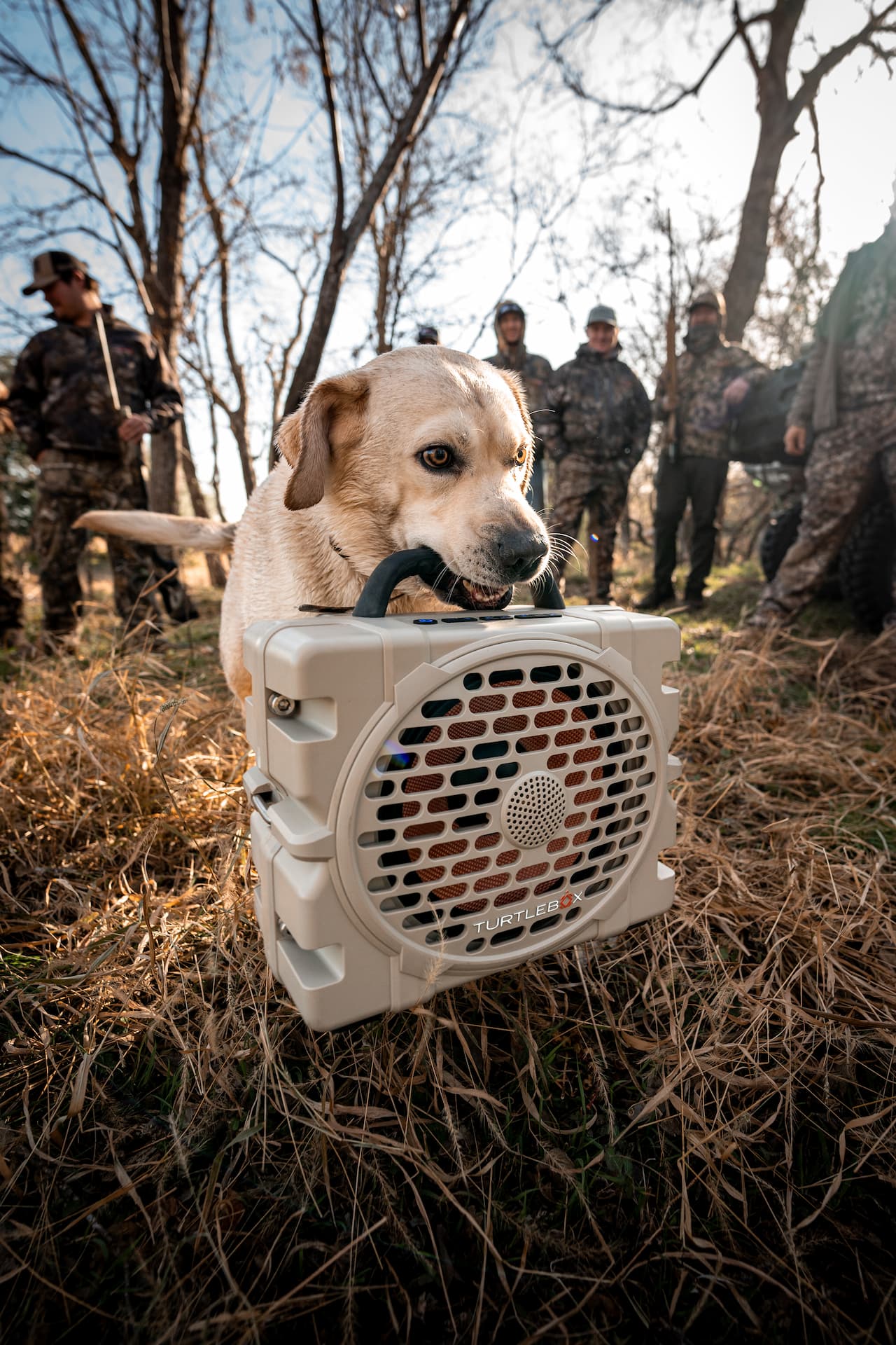 A lifestyle photo of a dog walking with a Tan Grande speaker in its mouth #base-color_tan
